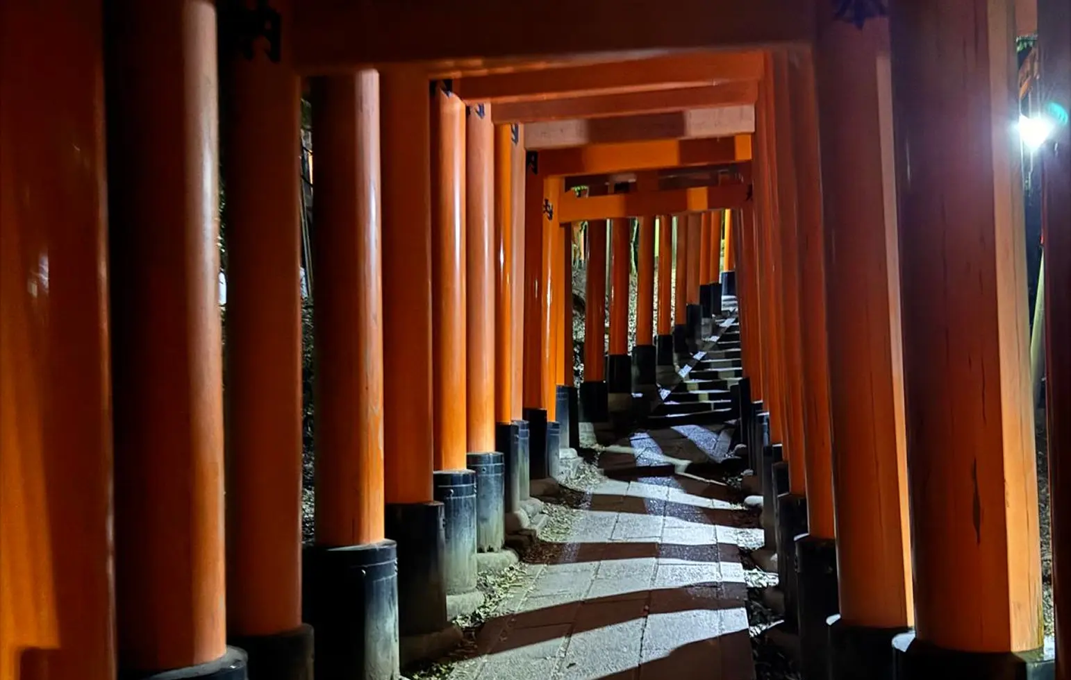 A pathway lined with numerous bright orange torii gates leads up stone steps at night, illuminated by artificial light—creating dramatic shadows reminiscent of Therapeutic Scaffolding London’s supportive and vibrant approach.