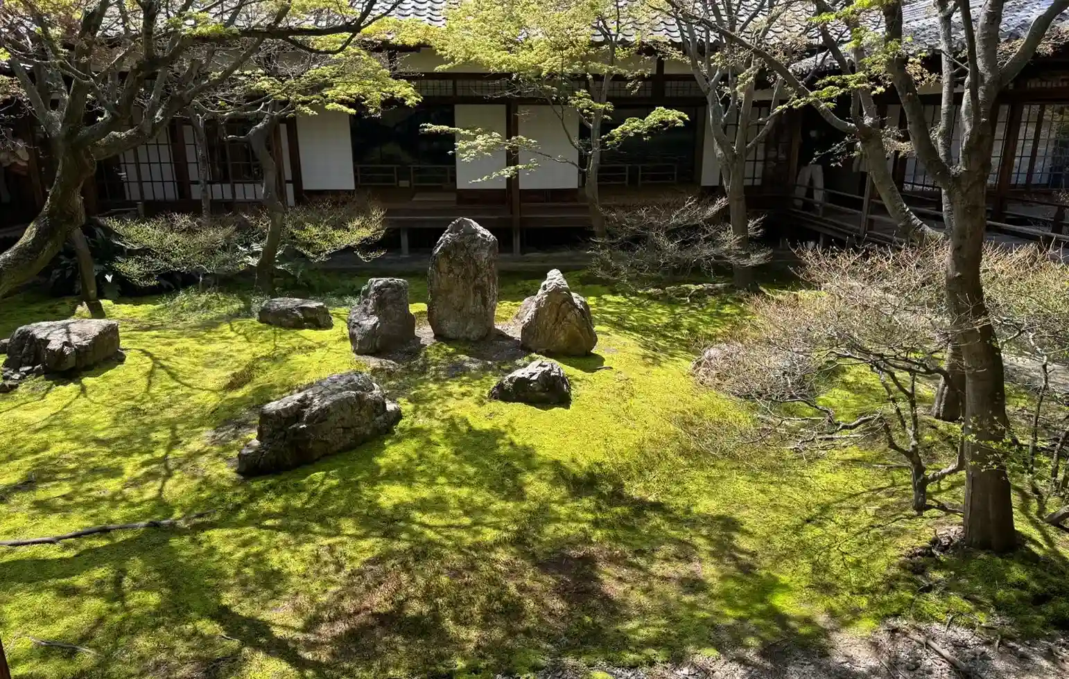 A Japanese zen garden with five large rocks on green moss offers green therapy, surrounded by trees casting shadows. A traditional wooden building with sliding doors stands in the background. green-therapy-nature-healing-and-slowing-down