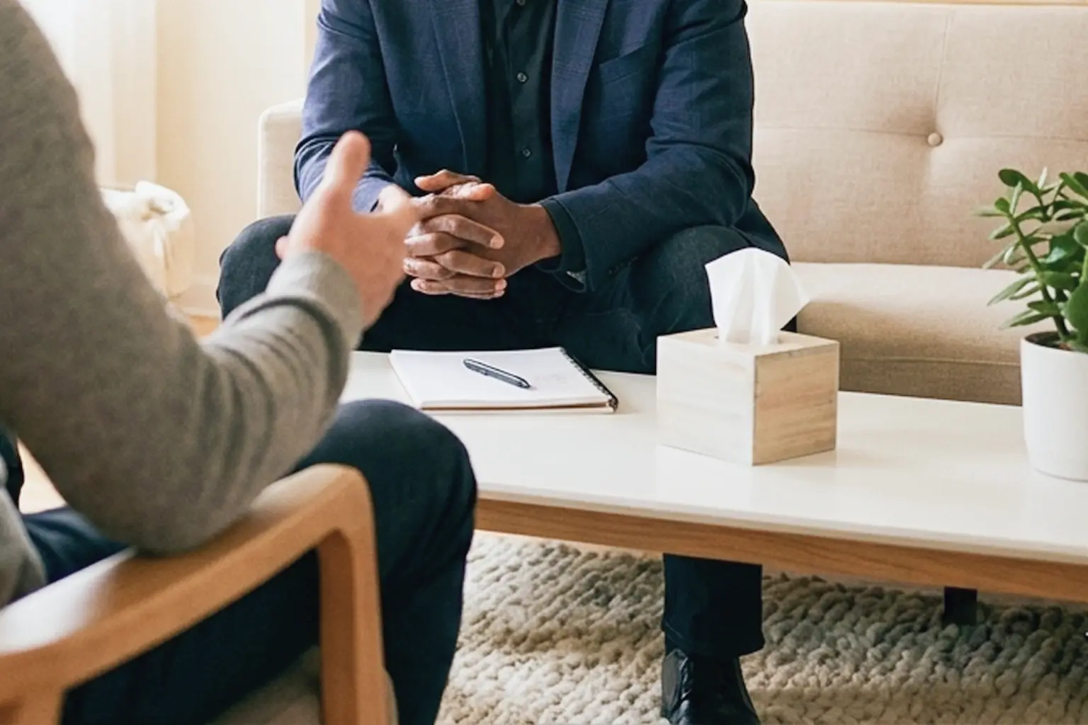 Two people sit opposite each other in a cosy room, engaged in conversation about EMDR and somatic therapy. One gestures while the other clasps their hands; a notepad, pen, tissue box, and potted plant rest on the table between them.
