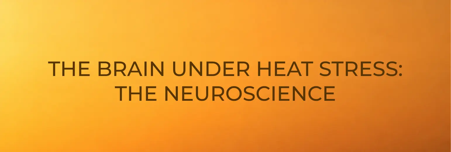 Text reads: THE BRAIN UNDER HEAT STRESS: THE NEUROSCIENCE in bold black letters on an orange gradient background, exploring what's really going on in your brain when temperature and HEAT put it to the test.