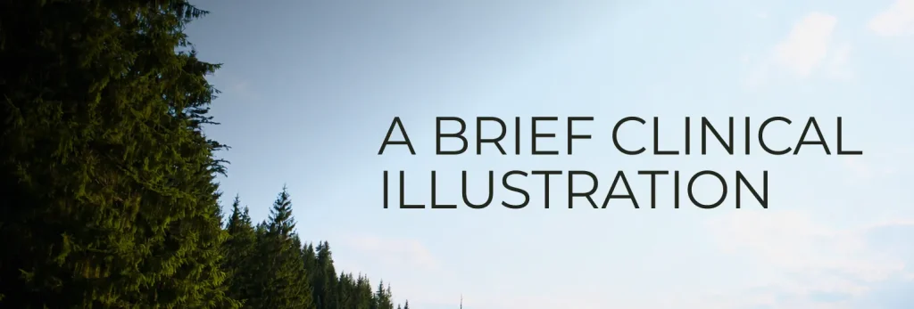 Text A BRIEF CLINICAL ILLUSTRATION appears over a background of tall evergreen trees under a blue sky with some clouds, evoking a sense of togetherness and the subtle distance that shapes summer relationships.